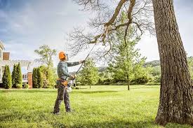 Best Tree Health Inspection  in Southern View, IL